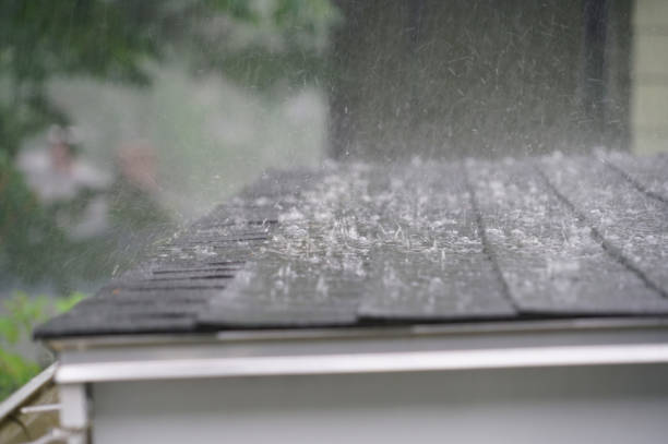 Best Steel Roofing  in Willowick, OH